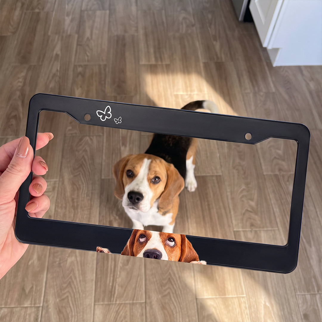 Personalized Pet Photo License Plate Frame