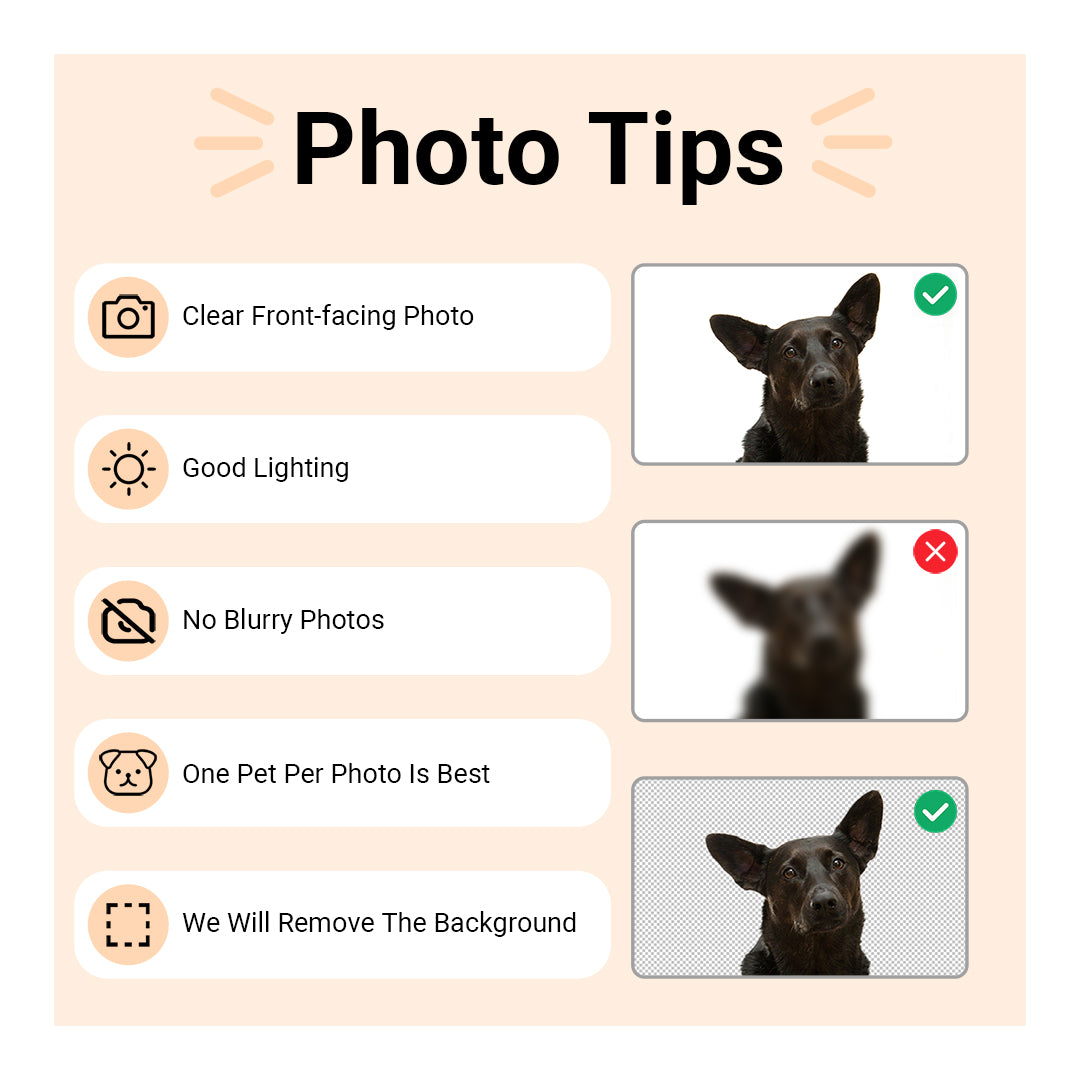 Personalized Pet Photo License Plate Frame